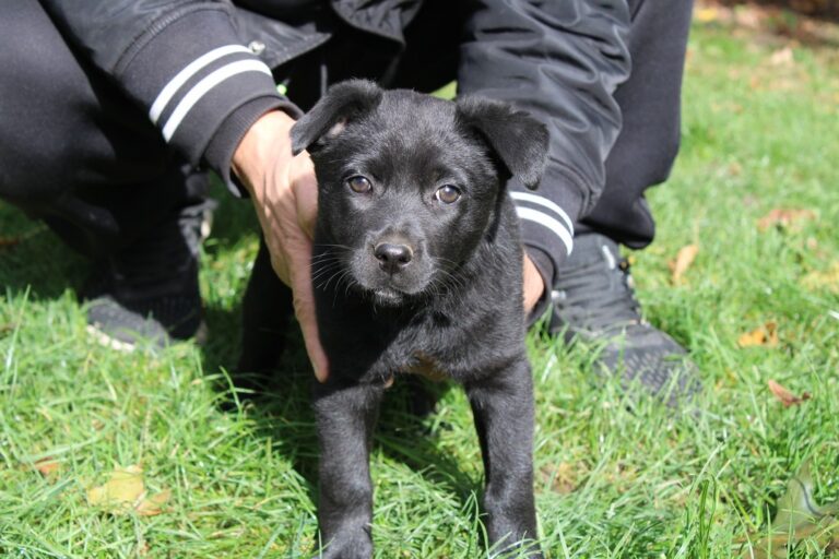 568198241_24839228542436233_4912636032388743515_n (1)