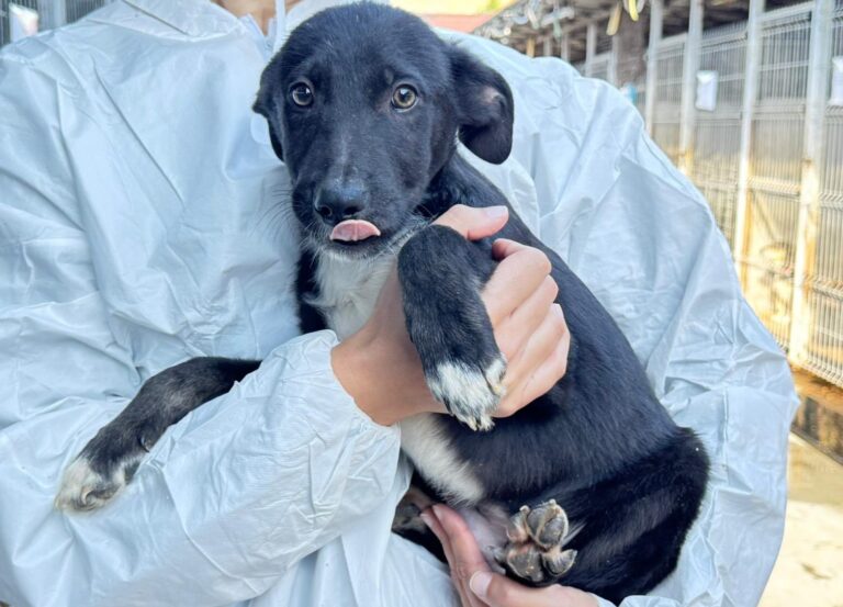 568273942_25711153355138318_1422813777301415672_n