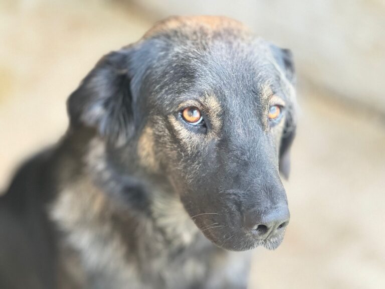 569175028_25701362902784030_5817236280474864996_n