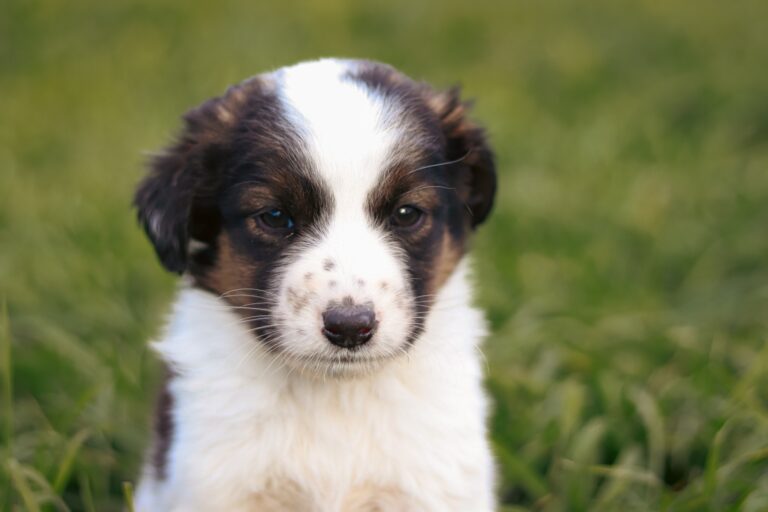 570363453_3147552322089549_1647104637634492093_n