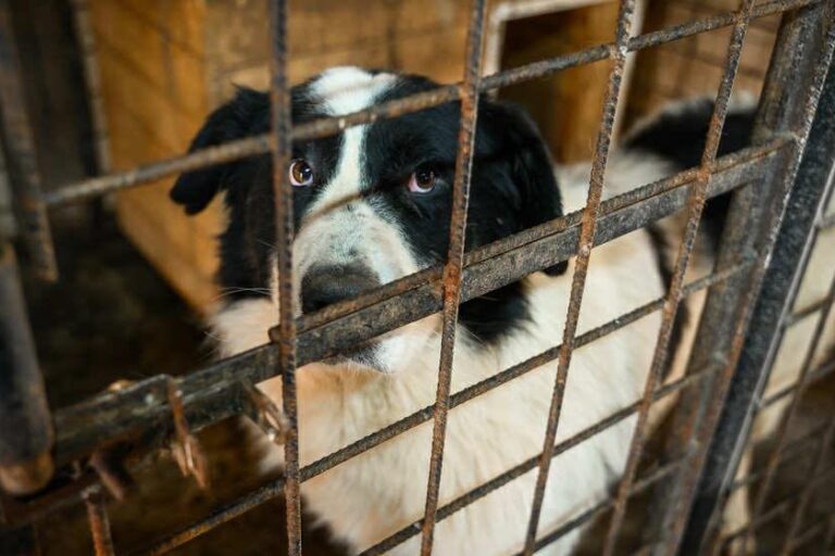 571199573_24796656939993122_312910581994820308_n