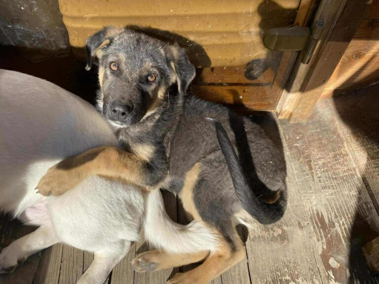 571217615_25764833096437010_3011904491493605190_n