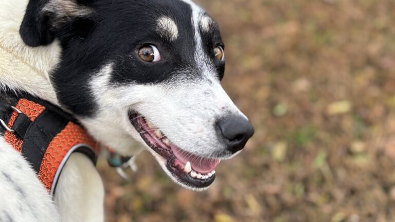 571763692_122217954908122691_8794097686660282071_n