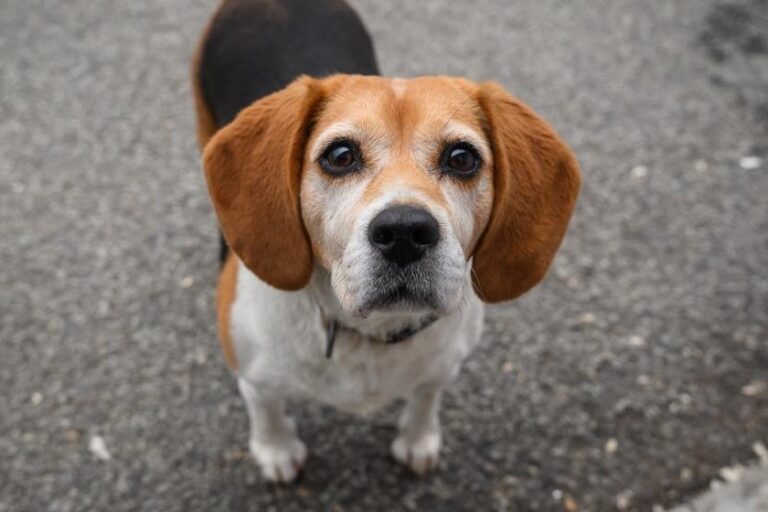 572358819_24824774430514706_2986983586333161611_n