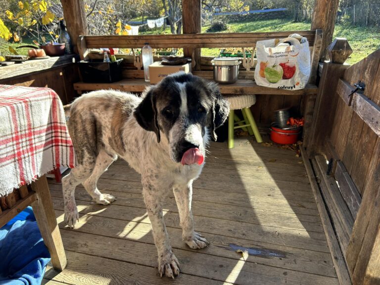 572902961_2024381581632921_5697410977623091327_n