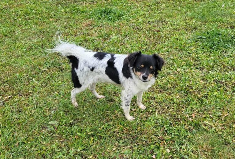 574582631_24155440407464680_3297511215318248733_n