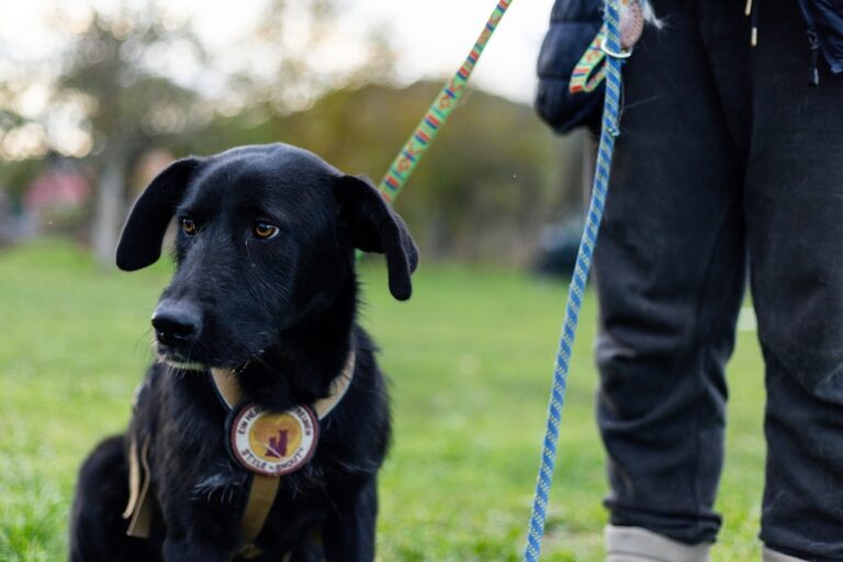 575100143_3012200618975715_7673187874587808889_n