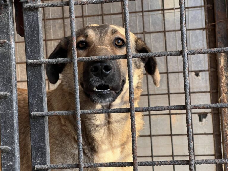 576809430_4108394776076993_1341611998204406678_n