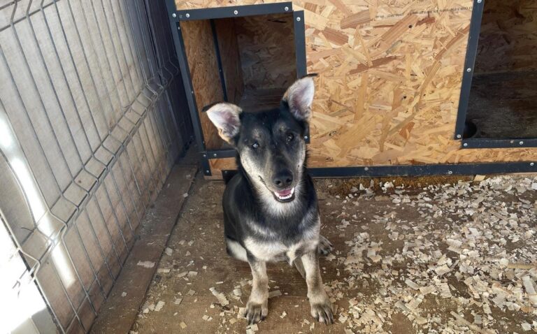 576829452_25860155846904734_5323032282886747332_n