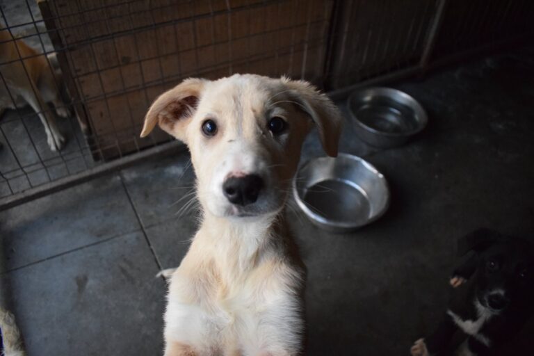 581208399_4115511372032000_548804835649645658_n