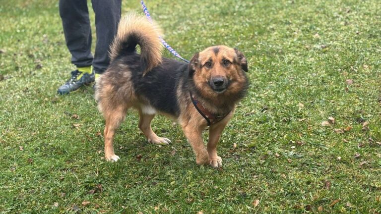 582332488_122220121964122691_6208792077499162596_n