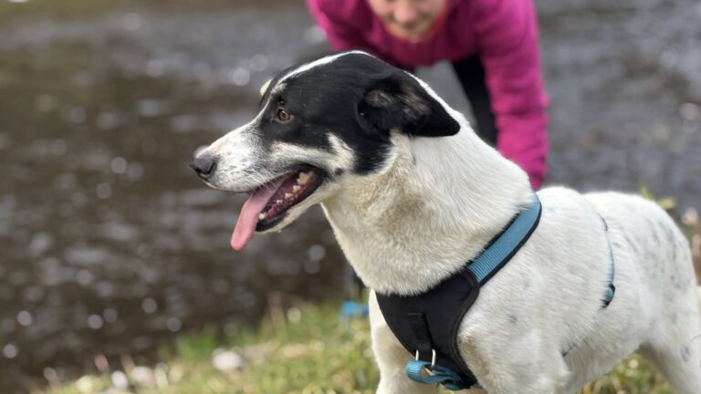 583229513_122220213740122691_8991804028263296637_n