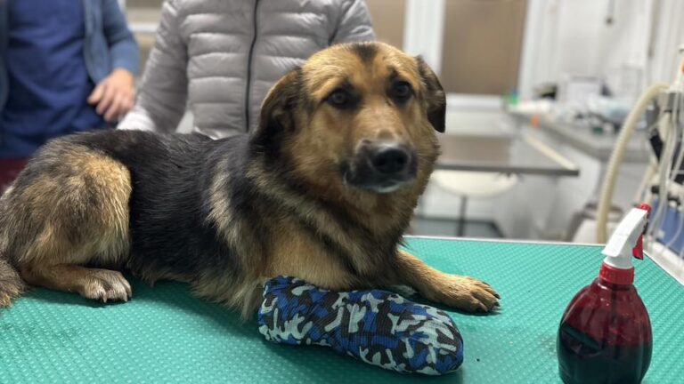 583791015_122220209714122691_4625127228772167881_n