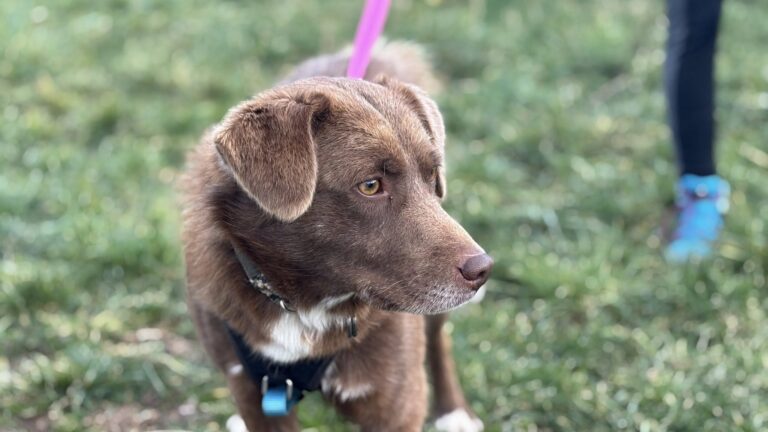 585133603_122220214688122691_5425382998816943559_n