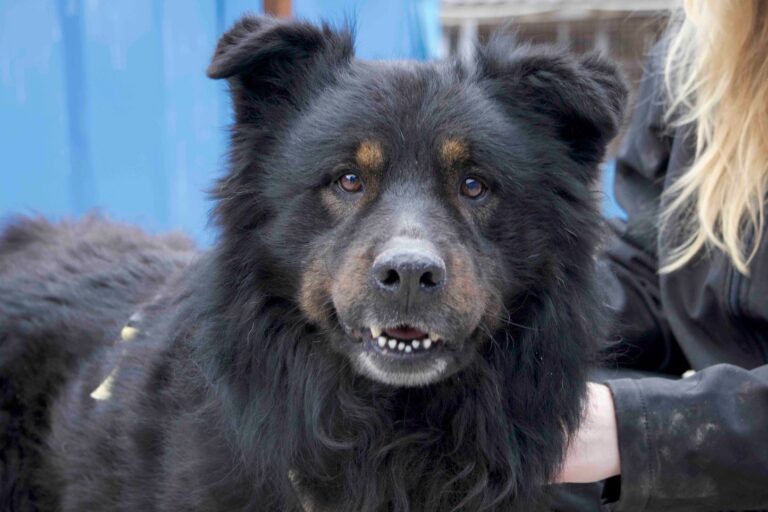 627745174_26718466127740364_6551812914578999024_n