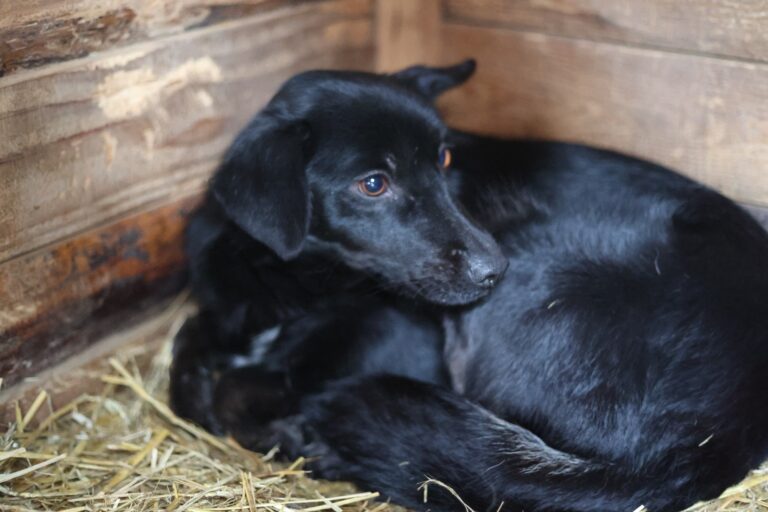 631769269_25812925198399891_9098587519057271335_n