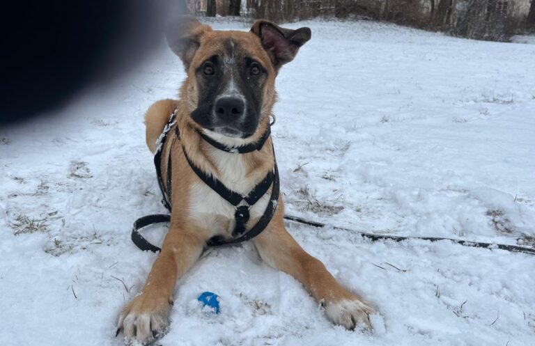 6900E009-8D1B-4068-9AD8-25E81C34E06D