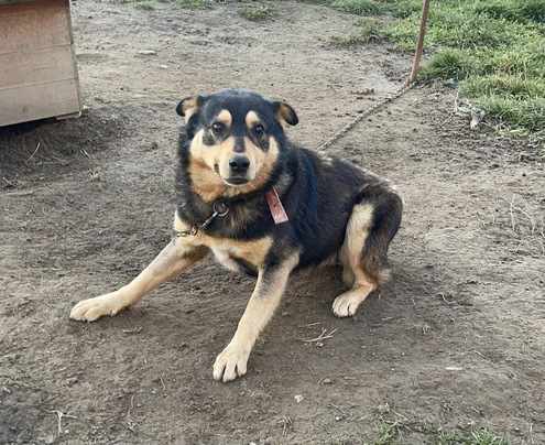 6f2bda8e-9320-432e-bdb2-719ec475f6f6