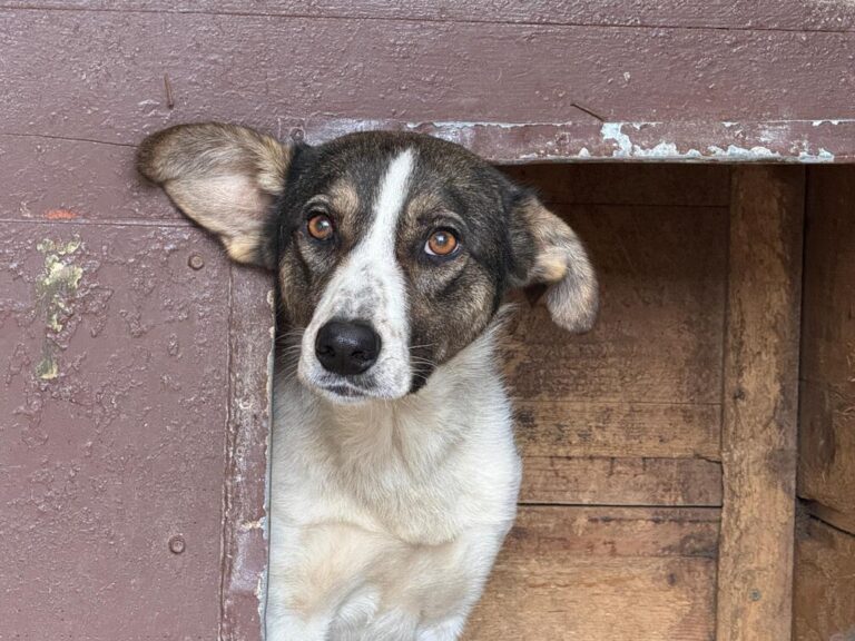 7f34e457-74b0-40ca-b127-bf03dad12633