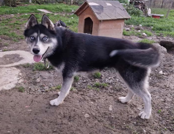 8a3adafa-44dc-471e-9950-42697ff77042