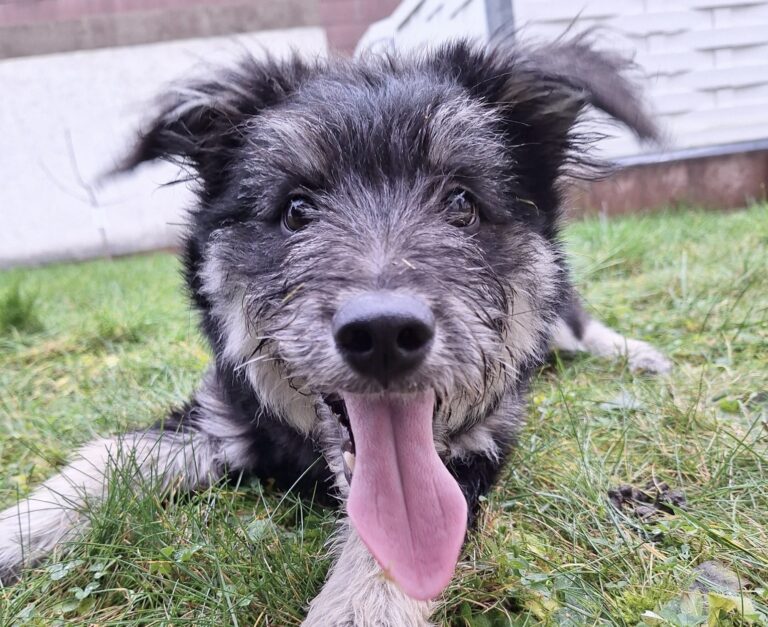 B88AE928-8F17-4CCD-A320-5A65FE76A3C9