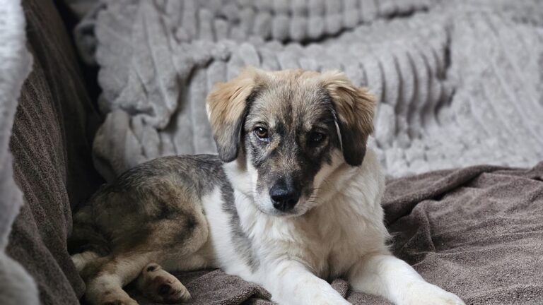 C03E1117-9C23-4FFA-97A9-CA04D4207E38_1_105_c