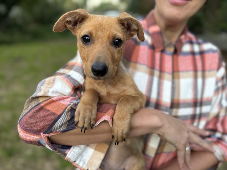 D42DC481-62B4-40E5-AA6D-D8CF12AF2D6B_1_105_c