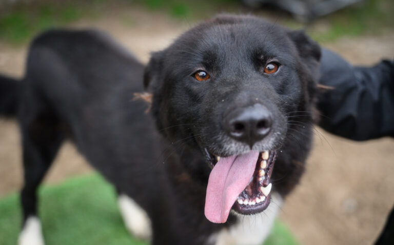 EHFS_DSC_0154_Caruso_900x560