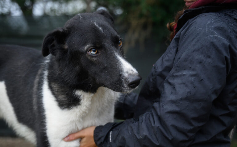 EHFS_DSC_0601_Hans_900x560