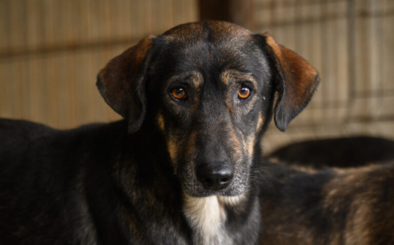 EHFS_DSC_1160_Friedl_900x560