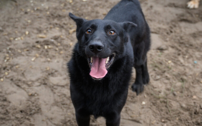 EHFS_DSC_1304_Rasputino_900x560