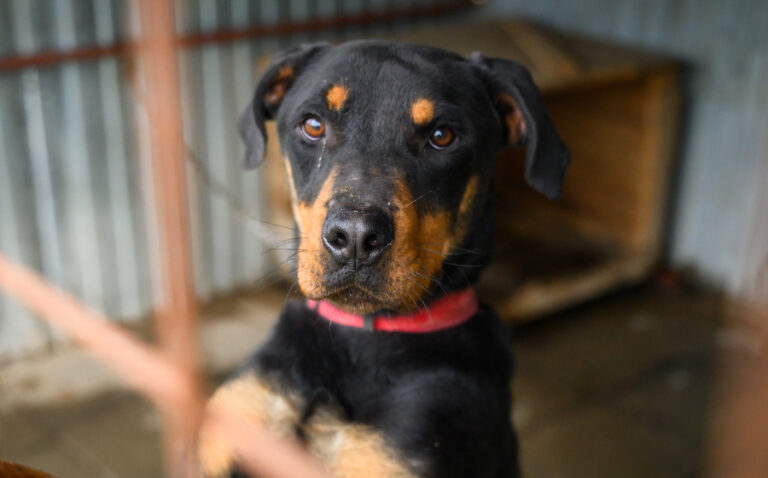 EHFS_DSC_2474_Harley_900x560