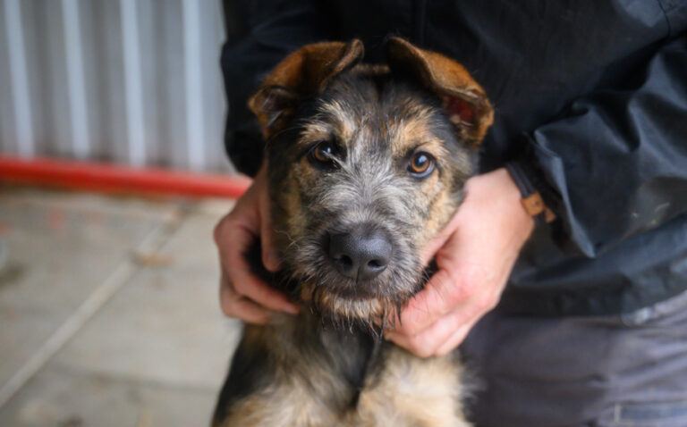 EHFS_DSC_4924_Pico_900x560