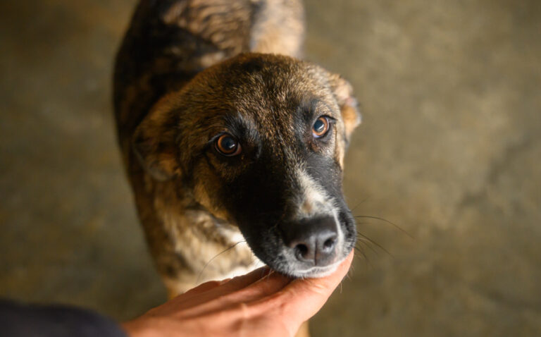 EHFS_DSC_6022_5vomPP_900x560