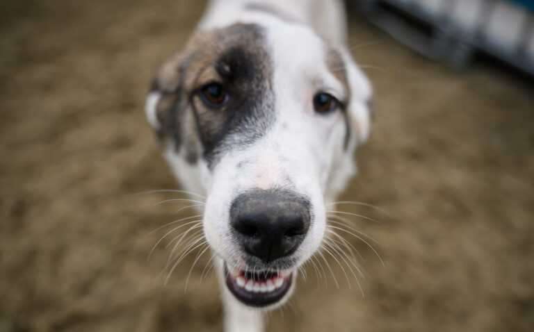 EHFS_DSC_8542_Tessy_900x560