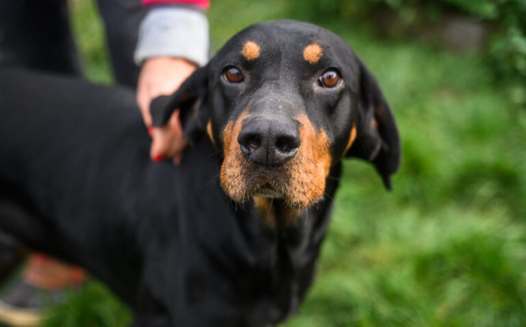 EHFS_DSC_9005_Bjarne_900x560