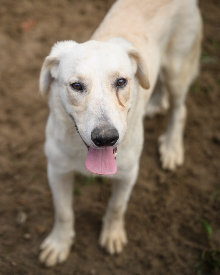 EHFS_DSC_9077_djw_900x560