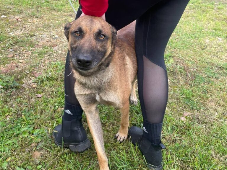 FB_IMG_1760599914078