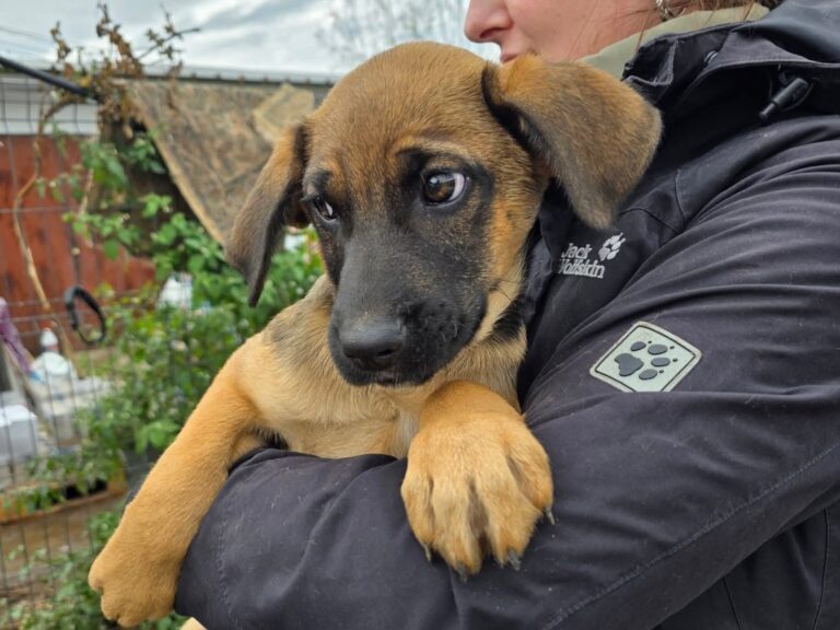 FB_IMG_1760604660998