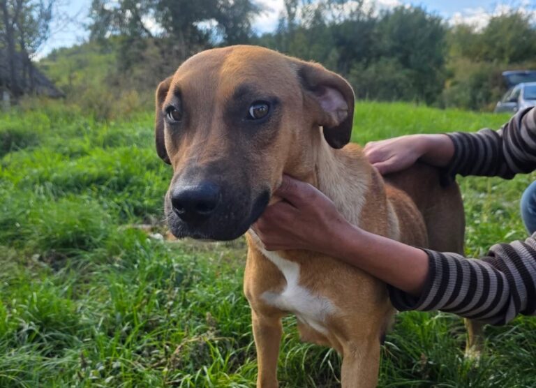 FB_IMG_1760959694695