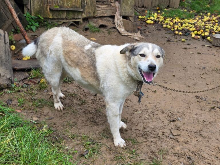 FB_IMG_1760960765020