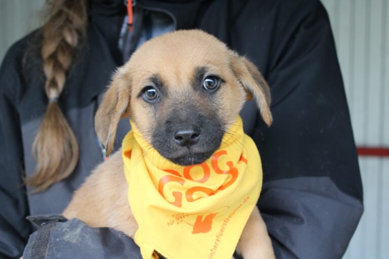 FB_IMG_1762099558310