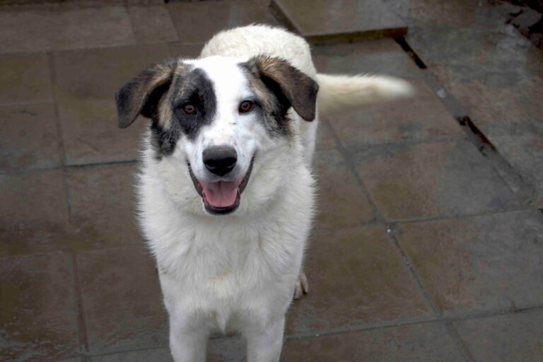 FB_IMG_1766944737807