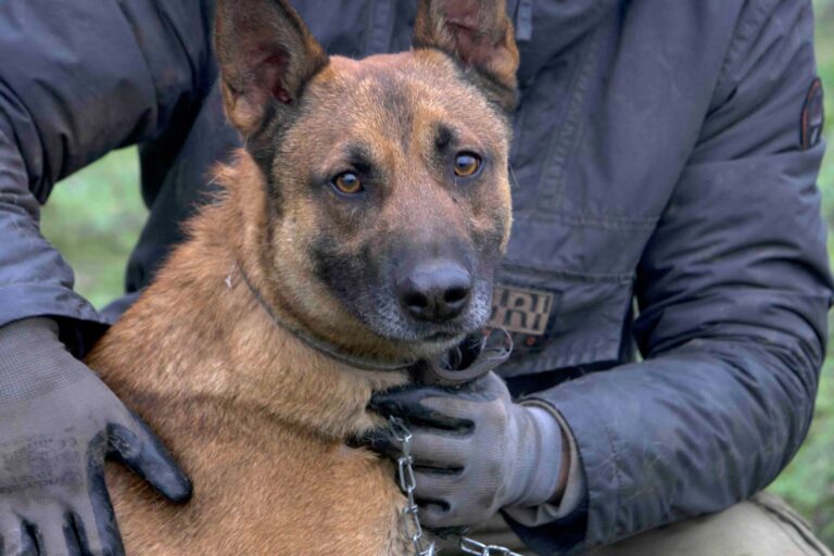 FB_IMG_1766945060570