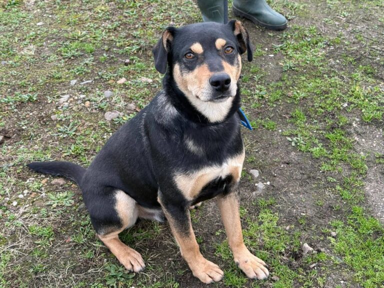 FB_IMG_1767185988175