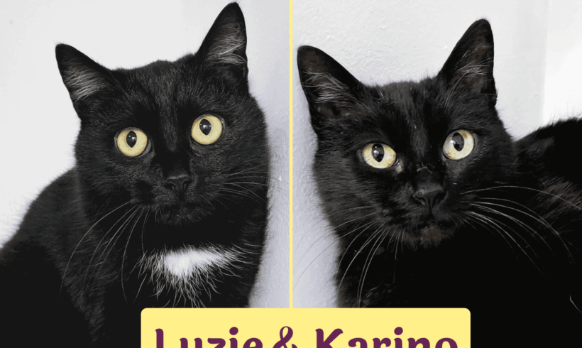 LUZIE&KARINO