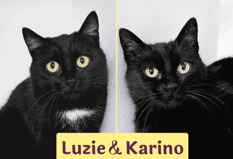 LUZIE&KARINO