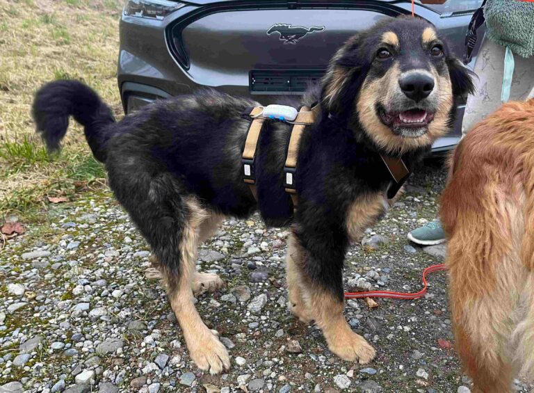 WhatsApp Bild 2025-11-16 um 13.55