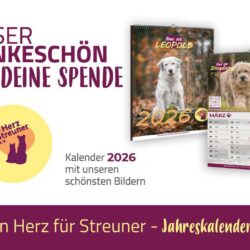 Streuner Jahreskalender 2026!