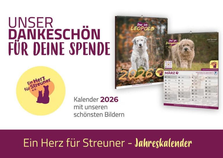 WhatsApp Image 2025-10-23 at 08.45